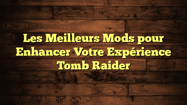 Les Meilleurs Mods pour Enhancer Votre Expérience Tomb Raider
